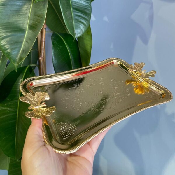 Stainless Steel Serving Presentation Tray with Butterfly Handle