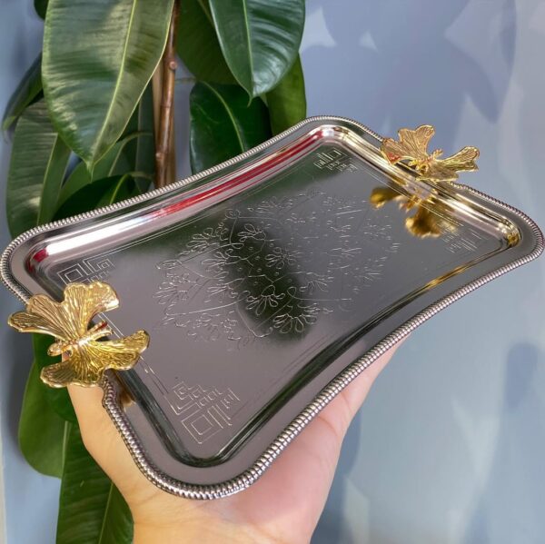 Stainless Steel Serving Presentation Tray with Butterfly Handle