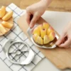 Stainless Steel Apple Cutter & Slicer – Fruit Divider with Easy Grip Handles